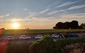 HôTes De Saint-Emilion II